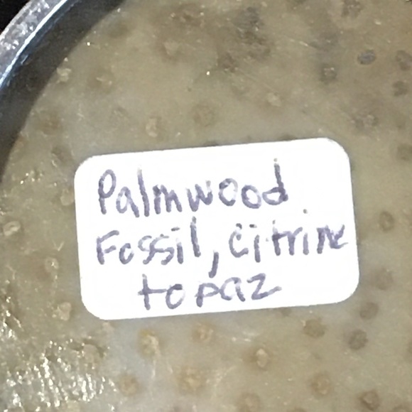 Silver & fossil pendant enhanced w/ cut stones - Picture 3 of 8